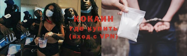трава Дмитриев